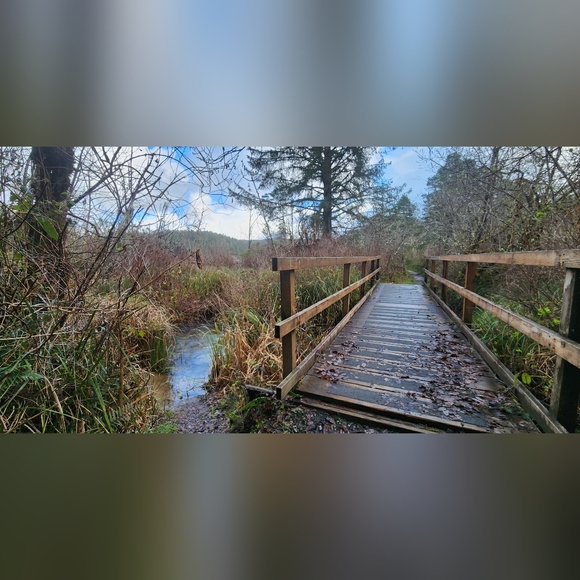 Meet your Posher, Cadence - Picture 7 of 16